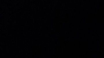 El presidente Trump busca terminar con apoyos de vivienda a indocumentados.