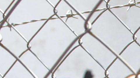 Miembros de la MS-13 en una cárcel de Honduras.