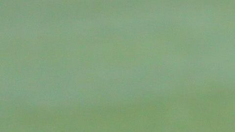 El expelotero de Grandes Ligas, David Ortiz.