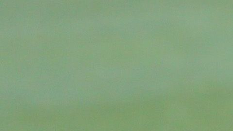 El expelotero de Grandes Ligas, David Ortiz.