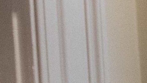 Kellyanne Conway ha colaborado con el presidente Trump desde su campaña.