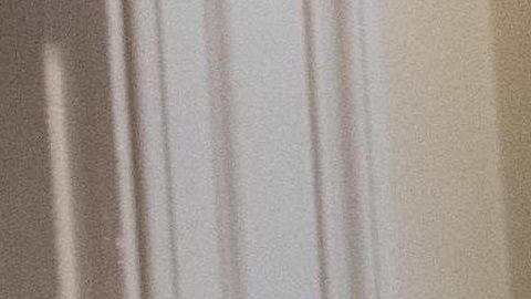 Kellyanne Conway ha colaborado con el presidente Trump desde su campaña.