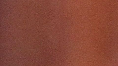 Ivanka Trump destacó en cena de gala.