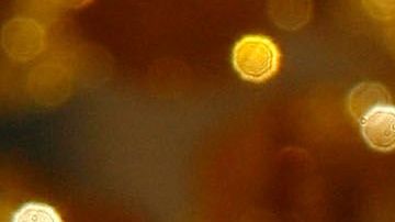 El matrimonio igualitario es legal en todo Estados Unidos desde 2015.