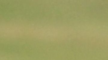 Scotland Protests At The Visit Of United States President Donald Trump