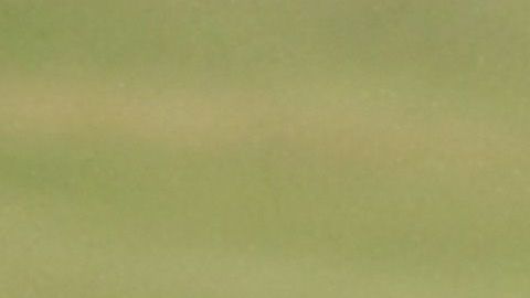 Scotland Protests At The Visit Of United States President Donald Trump