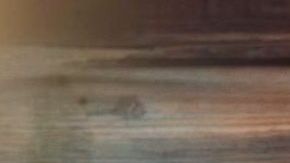 Gracyanne-Barbosa-vai-parar-no-hospital-apos-esmagar-os-seios