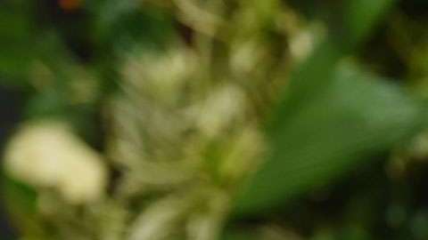 Gwyneth Paltrow no vive con su esposo.