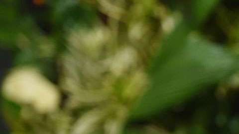 Gwyneth Paltrow no vive con su esposo.