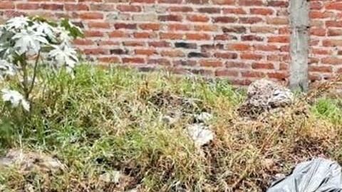 Las bolsas fueron abandonadas en las calles de Tlaquepaque, Jalisco.