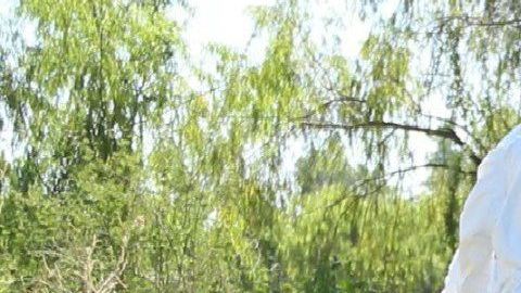 Hallan al menos 20 narcofosas en Mexico en menos de una semana