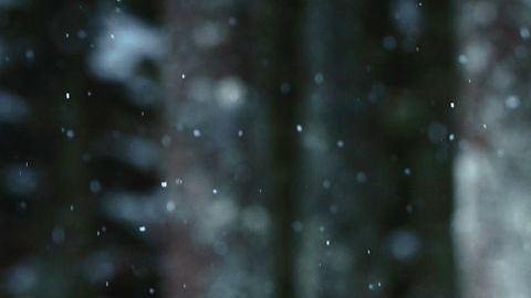 Esme Creed-Miles en "Hanna"