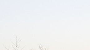 Aquí es posible tener licencia si vives ahí.