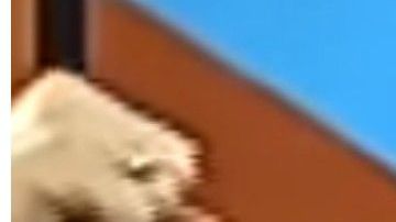 Ingrid Jorge es hija de "La Tora".