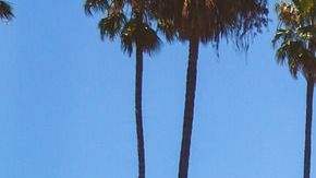 Se esperan temperaturas altas, entre los 75 grados en la zona costera y los 100 grados en los valles y desiertos.