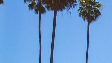 Se esperan temperaturas altas, entre los 75 grados en la zona costera y los 100 grados en los valles y desiertos.