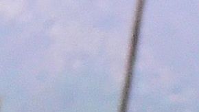 El número de caballos muertos es alarmante para un deporte en el cual el bienestar de los animales debería ser de primaria importancia.