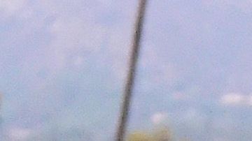 El número de caballos muertos es alarmante para un deporte en el cual el bienestar de los animales debería ser de primaria importancia.