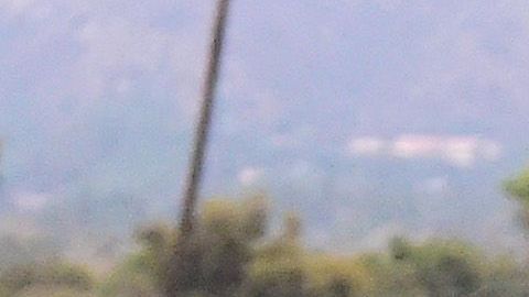 El número de caballos muertos es alarmante para un deporte en el cual el bienestar de los animales debería ser de primaria importancia.