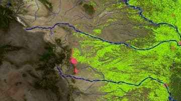 Los ríos transportan contaminantes que se descargan al océano.
