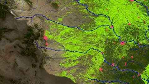 Los ríos transportan contaminantes que se descargan al océano.