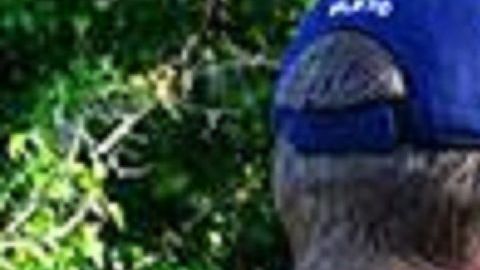 ICE busca aumentar la cooperación de policías locales en sus operativos.