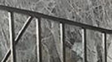 Los capturados enfrentan cargos criminales.