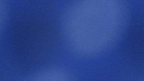 Carlos Vela decidió retirarse definitivamente de la Selección Mexicana