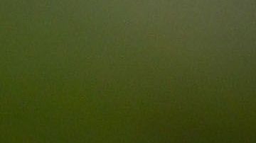 Andrés Guardado estará disputando su cuarta Copa Oro