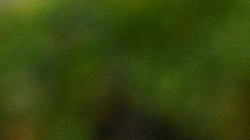 El jugador de los Rayados de Monterrey Jesús Gallardo.