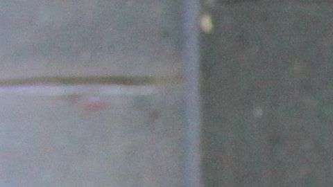 Imagen de la presentación de Oribe Peralta con Chivas