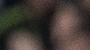 Entre lesiones y traslados la Selección Mexicana ha vivido un calvario en la Copa Oro