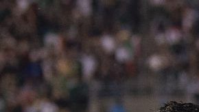 Uriel Antuna, Fernando Navarro y Raul Jimenez, goleadores de México ante Martinica en la Copa Oro.