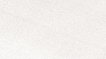 El acto se celebró en el Museo Wyckoff House de Brooklyn.