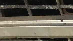 El comprador encontró a "James" en el asiento del pasajero