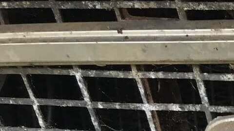 El comprador encontró a "James" en el asiento del pasajero