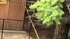 El cuerpo fue encontrado en las calles de la Ciudad de México.