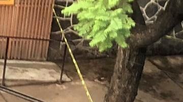 El cuerpo fue encontrado en las calles de la Ciudad de México.