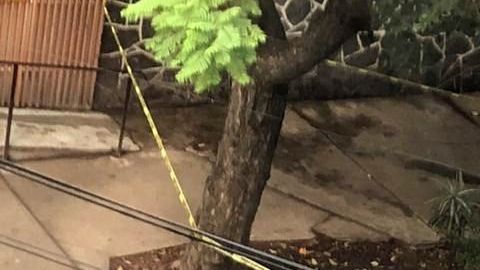 El cuerpo fue encontrado en las calles de la Ciudad de México.
