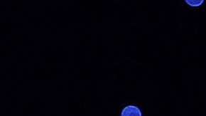 Bezos dice que, para predecir el futuro, debes fijarte en las cosas que son constantes.