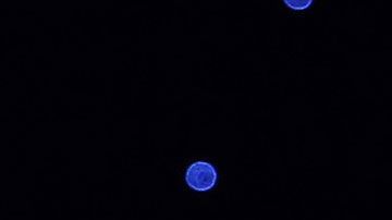 Bezos dice que, para predecir el futuro, debes fijarte en las cosas que son constantes.