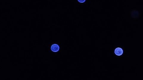 Bezos dice que, para predecir el futuro, debes fijarte en las cosas que son constantes.