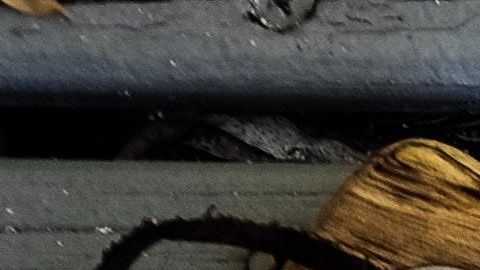 jeremy-stewart-535036-unsplash