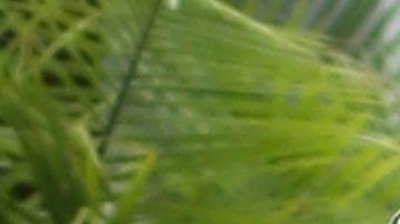 Jennifer López impacta con su figura.