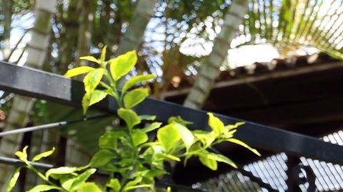 Joao Maleck será juzgado por el delito de homicidio a título de culpa grave