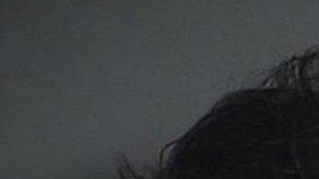 Daniel Walshire y Rebekah Mecca.