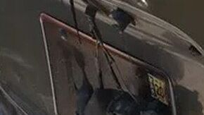 Las imágenes provienen de Arizona