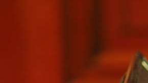 El análisis también reveló que ningún condado en los Estados Unidos ha generado más sentencias de muerte que Los Ángeles.