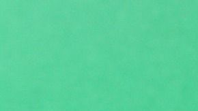 ¿Listo para ir de compras?