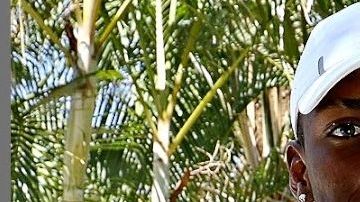 Joao Maleck enfrenta un proceso penal acusado de homicidio culposo